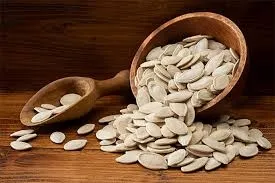 KABAK ÇEKİRDEĞİ 1 PORSİYON